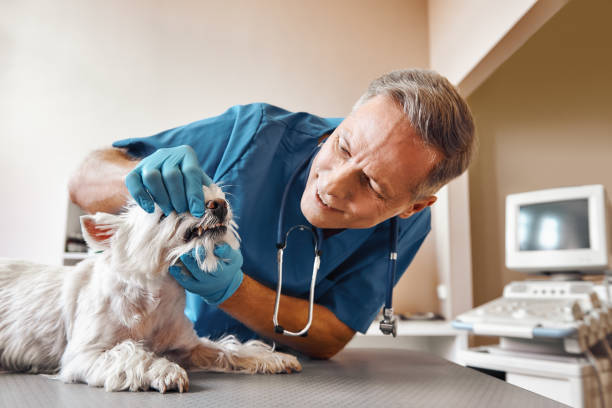 Best Emergency Dentist for Knocked-Out Tooth in Bethel Acres, OK